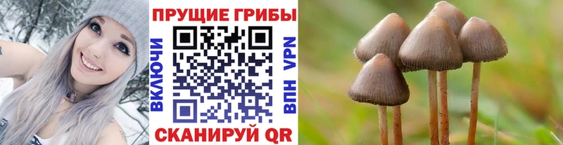 Галлюциногенные грибы мухоморы  Фатеж 